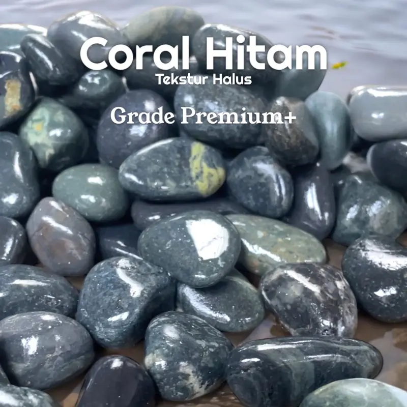 Batu Coral Halus Premium (1Kg) Hiasan Taman / Aquarium. Bersih Siap Pakai Kualitas Terbaik 2