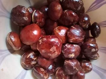 Product Review of jengkol tua belom di rendem from p**i s**a 0