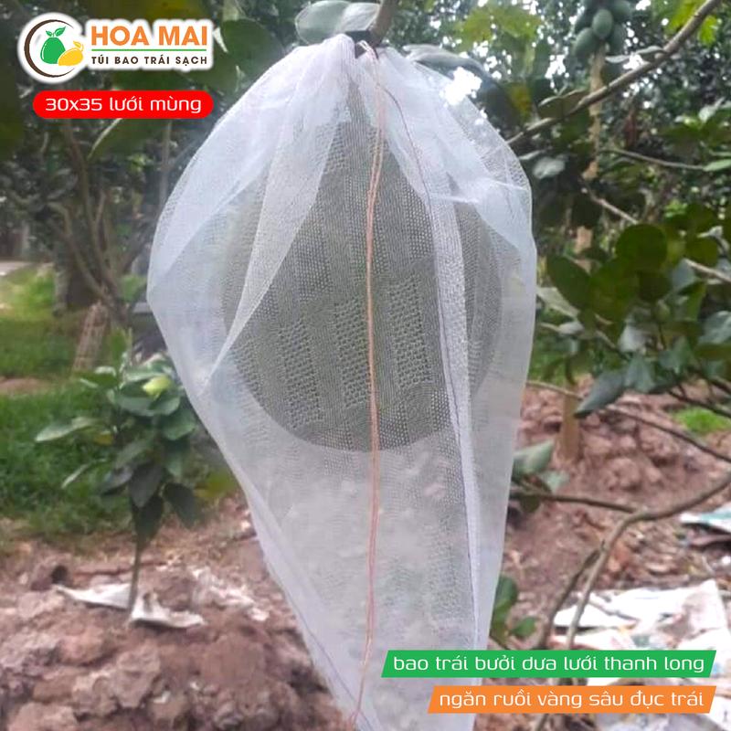 100 Túi bao trái cây Hoa Mai túi rút chống côn trùng chất liệu lưới mùng