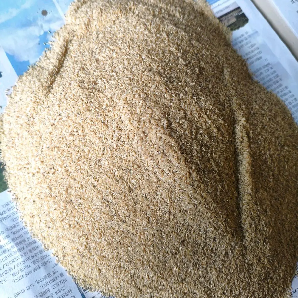 Telur Jangkrik Alam/Seliring 1kg & 500gram Cocok untuk kebutuhan anda