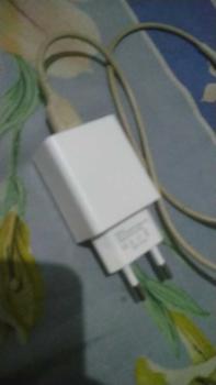 Product Review of VEGER Wall Charger R1 Single Port USB Output 2.4A from D**i m**i 0