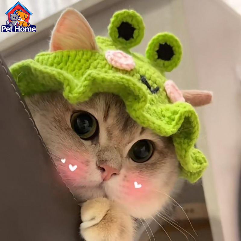 Topi Kucing Rajutan Topi Kucing, Topi Haiwan Peliharaan, Topi Anak Anjing, Topi Pakaian ...