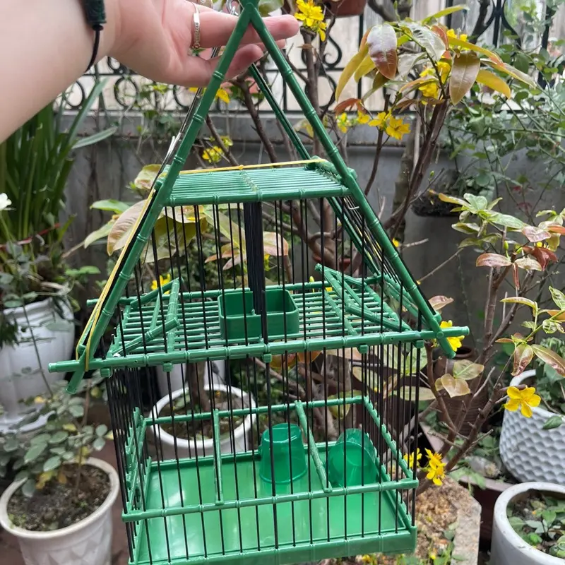 Lồng lụp ngôi nhà cho chim khuyên hút mật ốc mít chất liệu nhựa ABS tự động bao nhạy