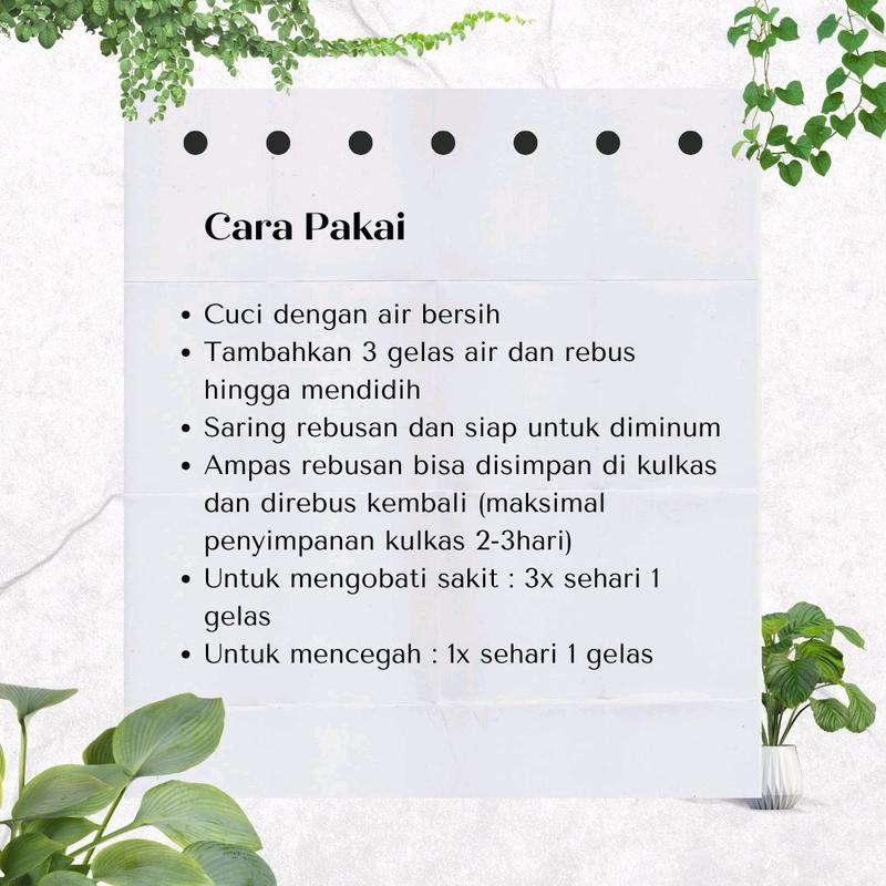 saraf kejepit jamu godok tradisional herbal alami king 2