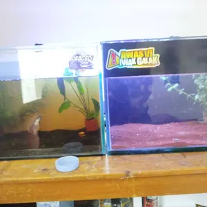 Lampu Akuarium Celup 15 35 55 cm LED Tahan Air Aquascape Ikan Hias Aquarium Cupang