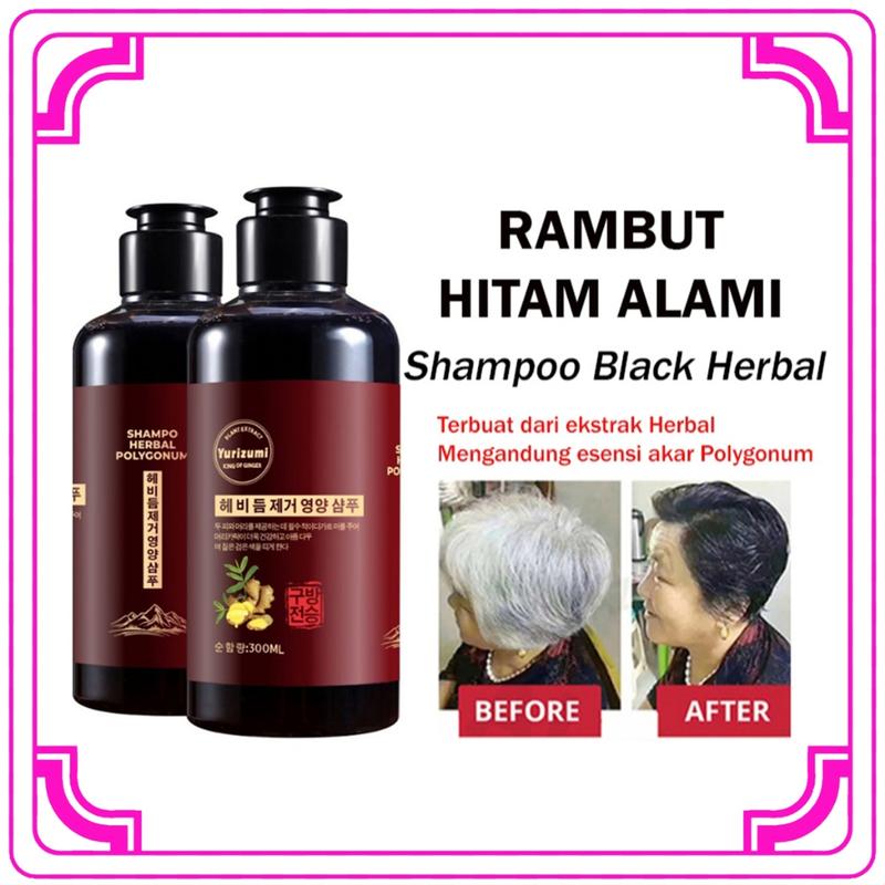 Shampoo Uban Penghitam Rambut Black Herbal Natural Shampoo Penghilang Uban Natural 0