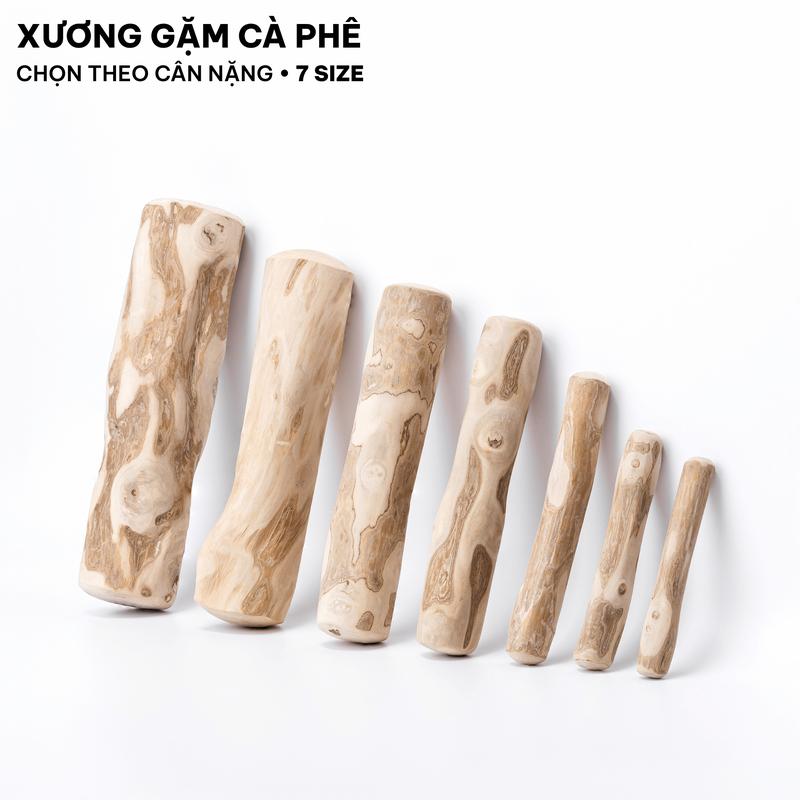 LIGNA Xương Gặm Gỗ Cà Phê Tự Nhiên Cho Chó | Sạch Răng, Giảm Stress, Hạn Chế…