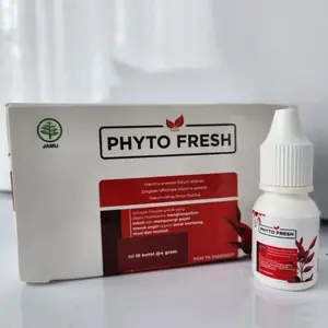 PHYTO FRESH 1Box Isi 10Pcs Minyak Angin Aromatheraphy Phytofresh Roll On 4mL