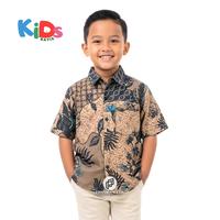 Gambar Kemeja Batik Anak laki laki DOBY MARON Ukuran 2-12 Tahun Motif godhong gedang seragam TK - DOBY MARON, XL dari Pripoen Batik Kab. Pekalongan 4 Tokopedia