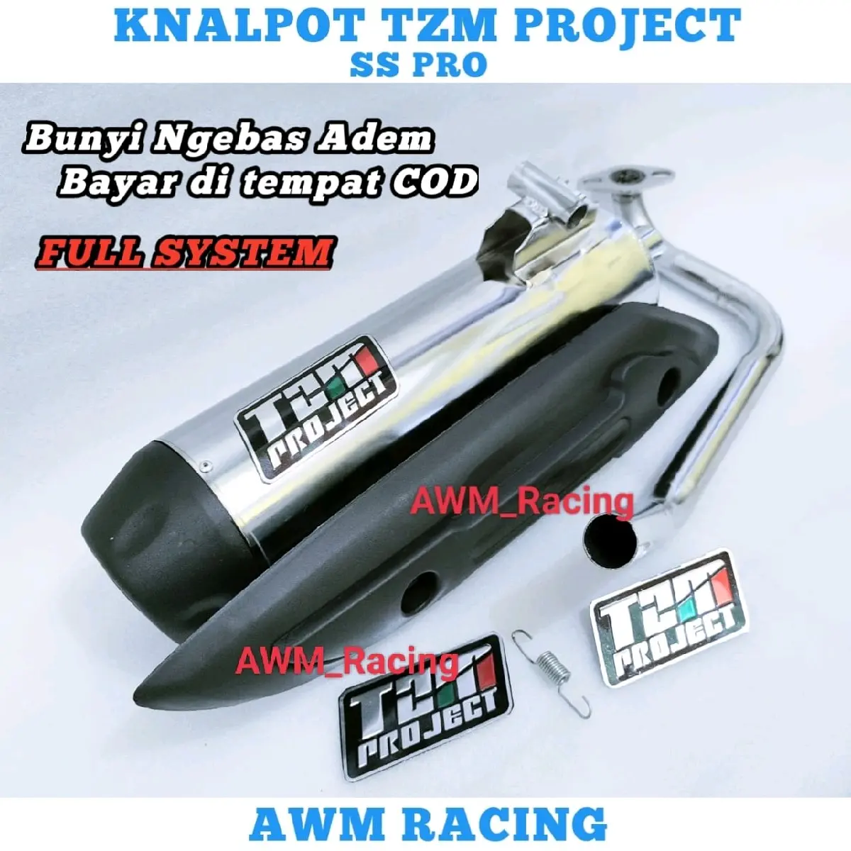 Knalpot TZM Project SS PRO beat vario mio scoopy vario 125 vario 150 beat cbs deluxe dll full system k nal pott zm