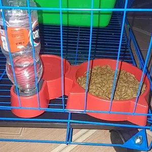 Tissue Basah Pet Wipes 80 Series Tissue Kucing Anjing untuk Grooming Pembersih Mata Pembersih Telinga Non-Alkohol