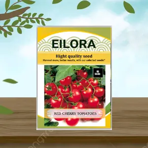 50 BUTIR BIJI/BENIH TOMAT CHERRY MERAH