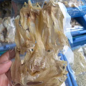 Ikaan Asin Putri Ayu / Semeru Mentah Khas Kenjeran Surabaya