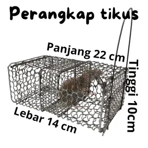 jebakan perangkap tikus super ampuh dari besi