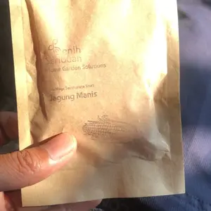 Paket 5 Macam Benih Terong F1 Hibrida Benih Sayur Sayuran Seribuan