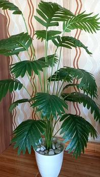 Product Review of 1set palem 120CM TKG artificial dengan pot pirus from a**i ** 1