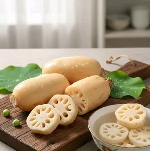Akar Teratai (LOTUS ROOT)