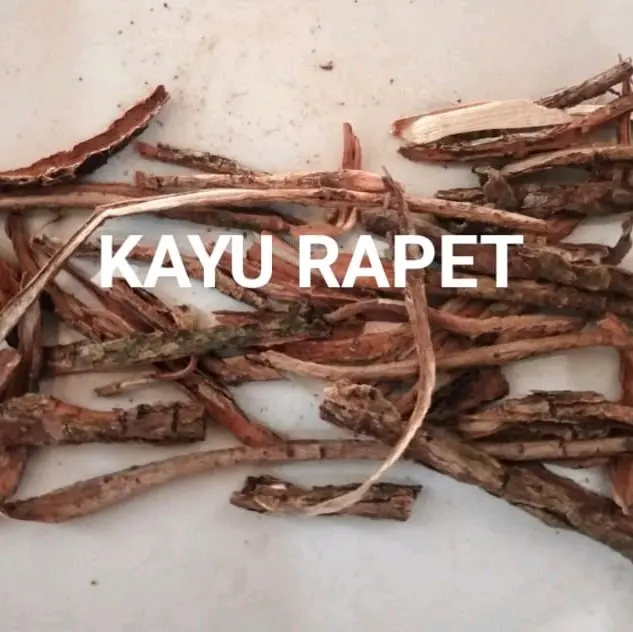 Tempuyang Kayu Rapet dan Majakani/paket 3 in 1 berat 150 gram Tea 5