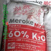 Gambar [Meroke] PUPUK KALIUM KLORIDA (MOP: MURIATE OF PHOTASH) ORI REPACK 1 KG dari hijausegarcom Kota Malang 1 Tokopedia