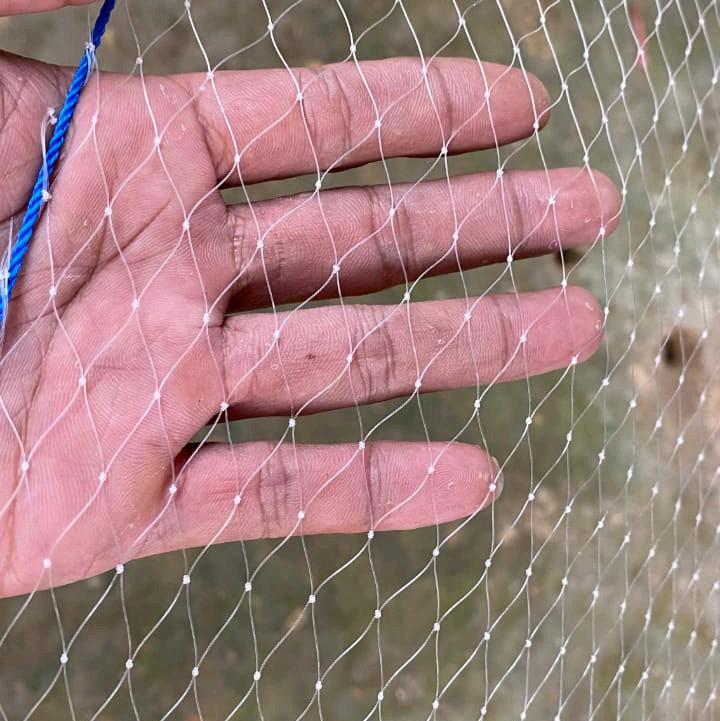 Jaring Anco Penangkap Ikan Tradisional Lubang 1 1/4 Inchi Senar 0,28 - Ukuran 2x2 Meter 1