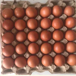 Paket telur ayam negri 30butir / 1tray