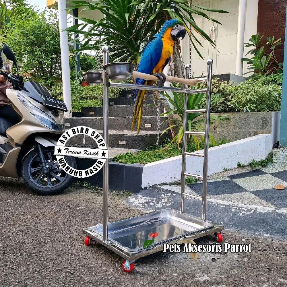 Tangkringan parrot bahan stainless