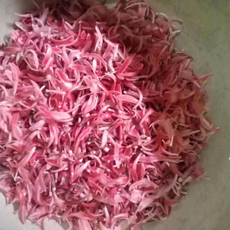 Kecombrang bumbu masak 1kg yang kami kirim kecombrang utuh 4