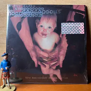 PIRINGAN HITAM / VINYL GOO GOO DOLLS - A BOY NAMED GOO (2LP,BLCK,30TH ANNIV.)