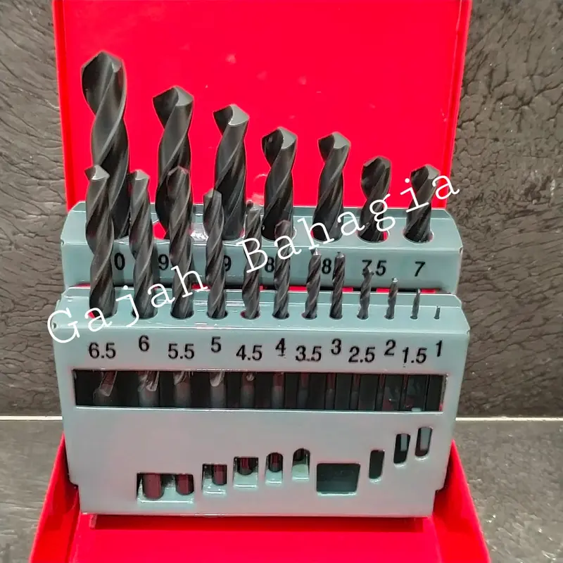 Mata Bor Besi Set 19 pcs HSS 1mm - 10mm 0
