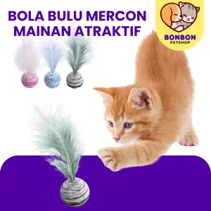 Mainan Kucing Anjing Mainan Bola Kecil Mainan Bola Atraktif Mainan Bola Bulu Kucing Pelangi Mainan Bola Marble Kucing
