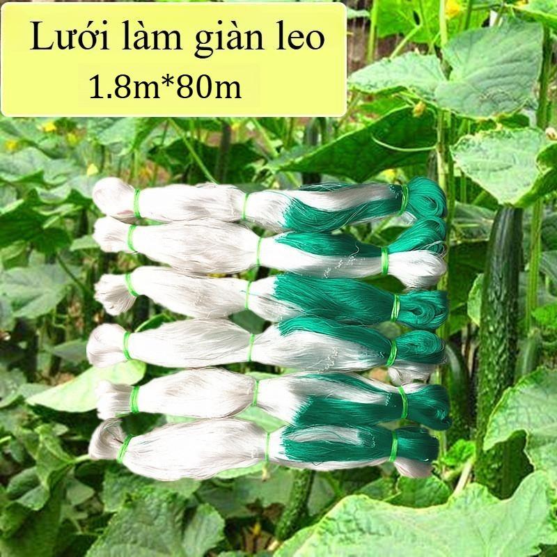 Giàn Lưới Hỗ Trợ Trồng Cây Dây Leo 1.8M*80M Lưới Làm Giàn Leo Lưới Hỗ Trợ Trồng Nho Lưới Trồng Trọt leo Lưới Pergola Giàn Nho Dưa Chuột Bầu