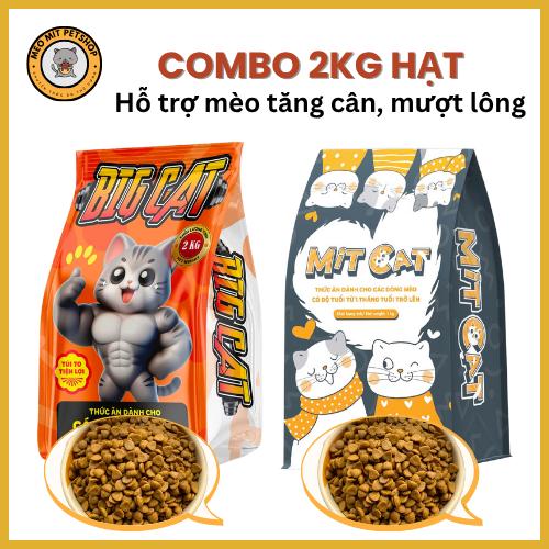 Tặng 5 Súp COMBO 2KG MIX VỊ cho mèo nhiều dầu cá hỗ trợ mèo tăng cân mượt lông - Gia Đình Mèo Mít