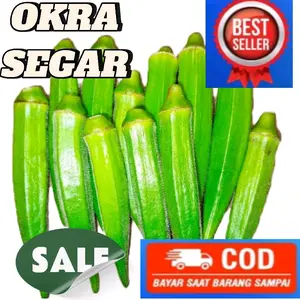 PACKING KARDUS UNTUK OKRA 1KG Grade A Sayuran Fresh Langsung Dari Pohon Dan Berkualitas Tinggi
