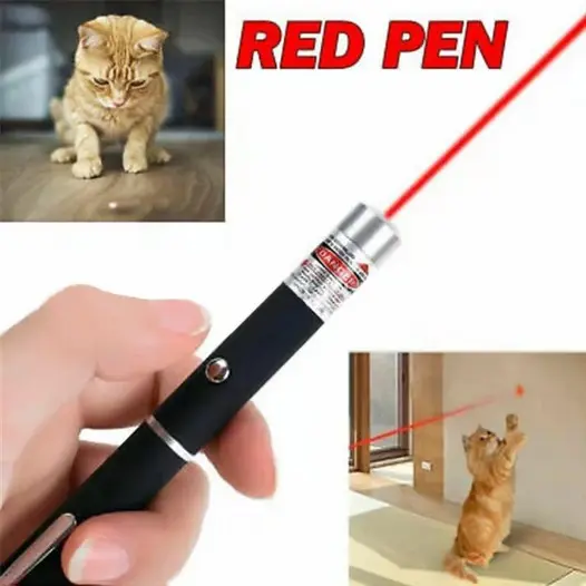 Laser Pointer Pen Presentasi High Power Baterai AAA 5mw Beam Hijau - ZY0001 3