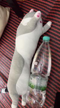 Product Review of Mainan mewah katak tersenyum, sistem penyembuhan, anak patung tidur, hadiah kecil, pakaian anak patung 36cm from M**🍵 1