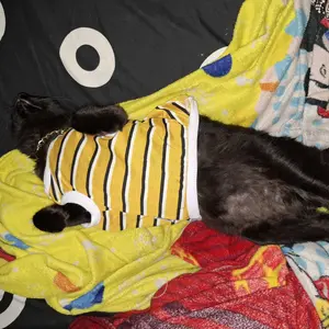 Baju Kucing Anjing Cowok Cewek Lucu Bulu Kecil - Buki tank trico series