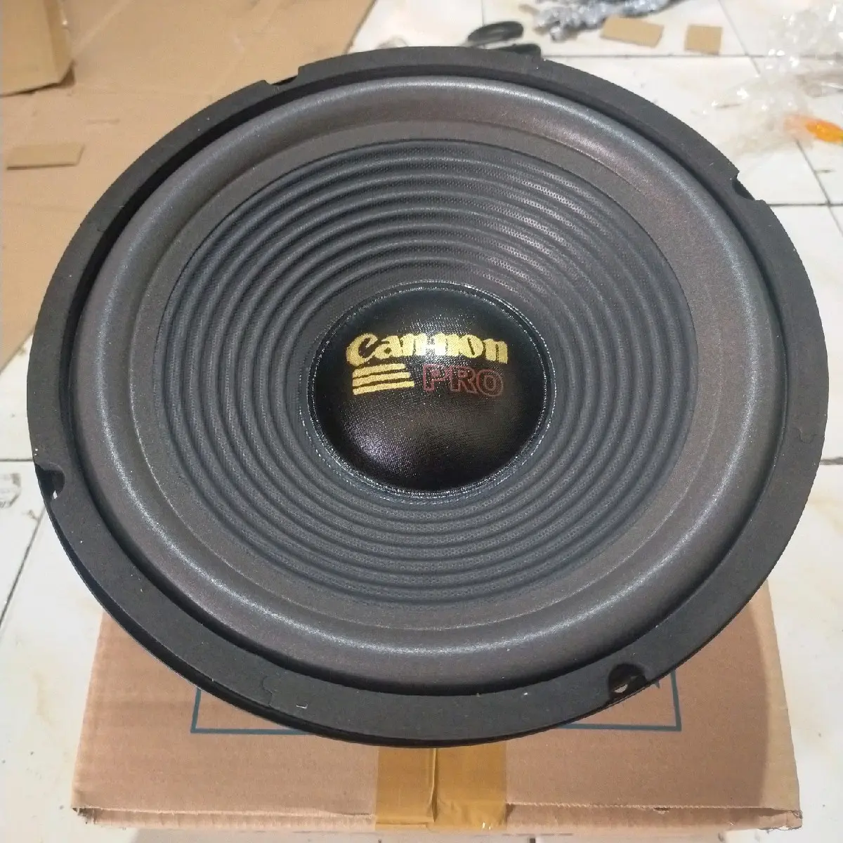 speaker 10 inch woofer C25H 100 1018 300w Subwoofer Sepiker
