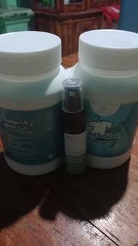 Product Review of Wiselie Spesial Bundling Pembersih Mesin cuci500gr, Cloth Stain Remover 500gr Free Toilet 30ml Rumah bersih siap menerima tamu aman untuk keluarga Cairan from a**4 1