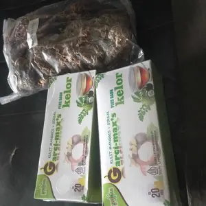 Sarang Semut Papua Asli 100gr