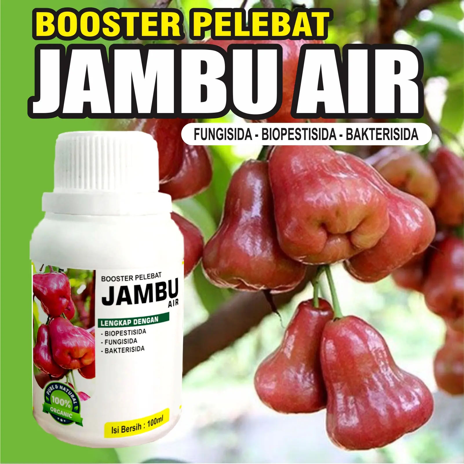 Pupuk Booster Jambu Air Pelebat Organik Cepat Berbuah Lebat 100ml murni fermentasi organik Bunga Tanaman