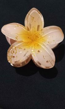 Product Review of Jepit Rambut Bali Jedai - Clips for Fashionable Hair from K**h 0