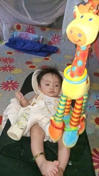 Product Review of Soft Giraffe Animal Handbells Rattles Plush Infant Baby Development Handle Toys WIth Teether Baby Toy for Newborn Gifts Hanging Baby Plush Toys from M**e 0