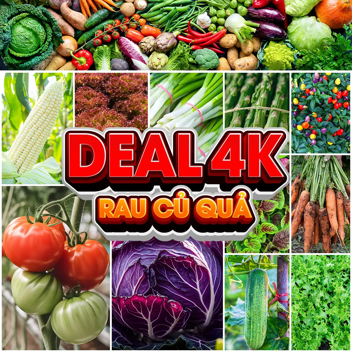 [DEAL 4K] Hạt giống RAU CỦ QUẢ dễ nảy mầm, nhanh thu hoạch, trồng quanh năm
