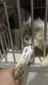 Product Review of Pawsitive Vibes Nutrition Plus gel 120g - Suplement For Cat & Dog - Vitamin Anjing Kucing Untuk Menjaga Imunitas, Nafsu Makan, Nutrisi Bulu Dan Kulit - Pet Nutrition from B**s 3