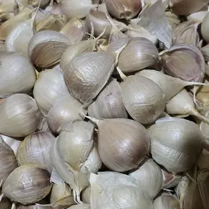 Bawang Putih Kating Bersih Sudah Di Sortir Kwalitas Baik