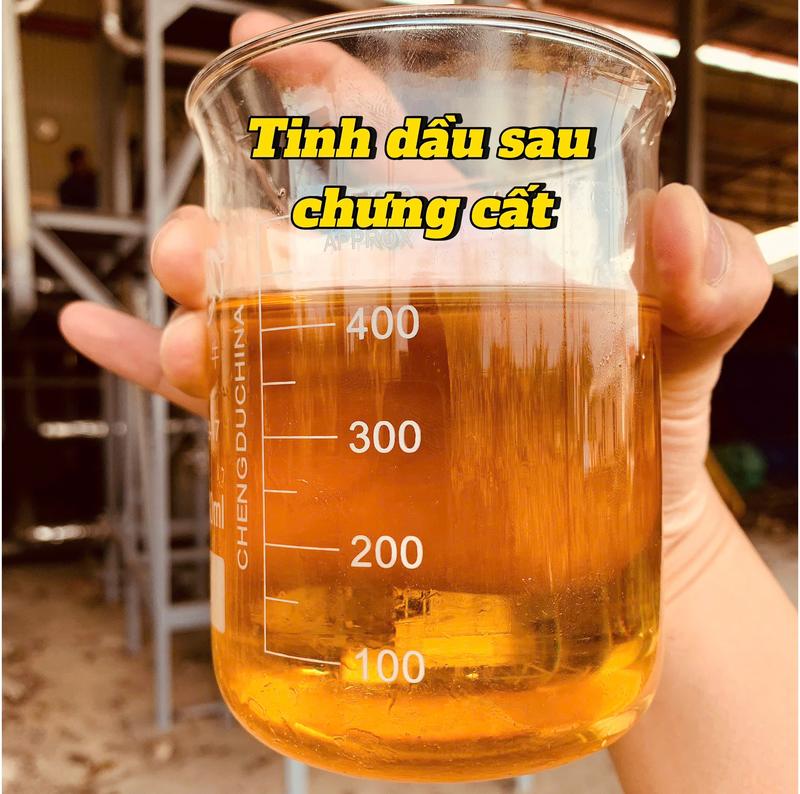 [NƯỚC HOA Ô TÔ] Nước hoa ô tô thiên nhiên cài cửa gió điều hòa- Hương Fresh ( Tươi mát) 8