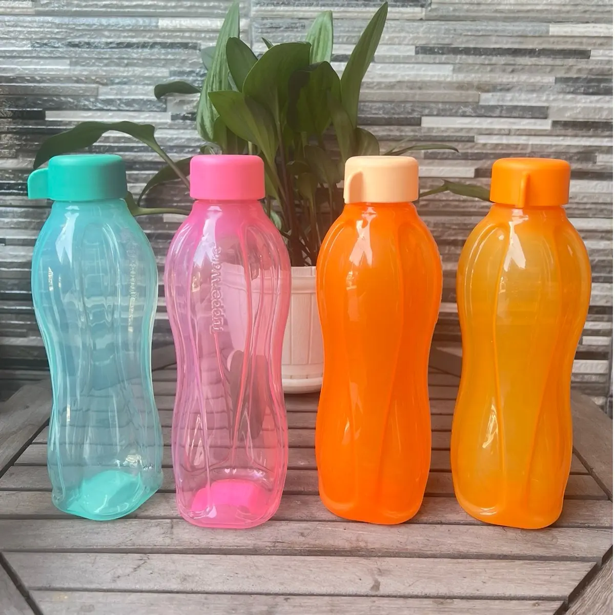 TUPPERWARE ORI, Eco bottle ulir 500ml (1)