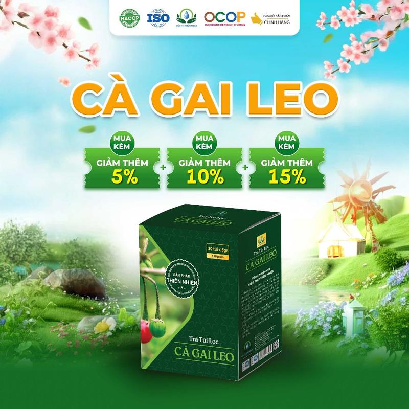 Hộp 30 túi lọc cà gai leo trà tốt cho người hay uống bia rượu - Siêu thị thiên nhiên