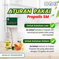 Gambar Herbal Sinusitis, Radang Sinus, Pilek Menahun, Infeksi Sinus, Polip Hidung, Hidung Bau, Benjolan Didalam Hidung, Penghilang Sinusitis Anak dan Dewasa - PROPOLIS SM Perawatan Hidung dari Tria Herbal Store Kota Administrasi Jakarta Barat 2 Tokopedia