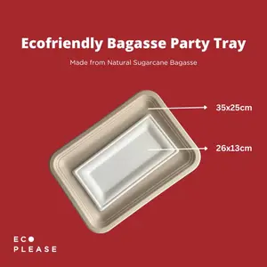 Ecofriendly Bagasse Rectangular Plate Piring Pesta Sugarcane 10X5 Inch